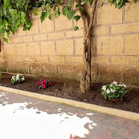 Appartement Piccolomini Vatican *